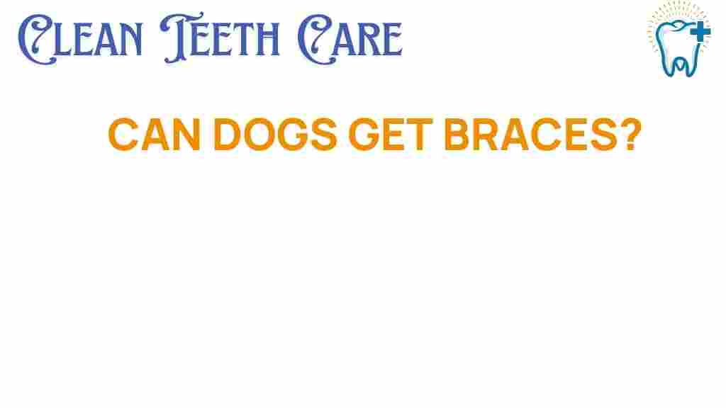 can-dogs-get-braces