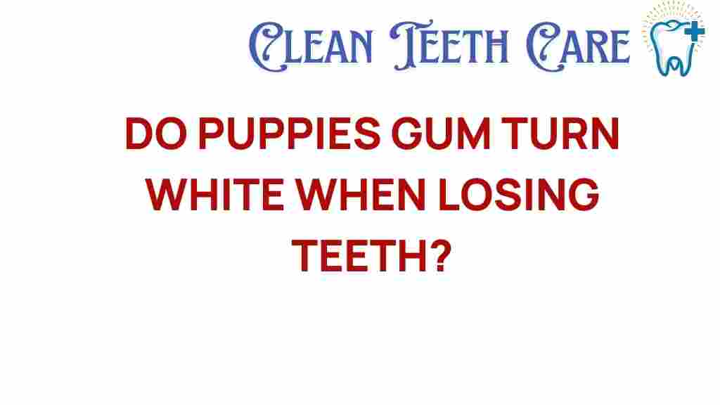 puppies-gums-teething-white