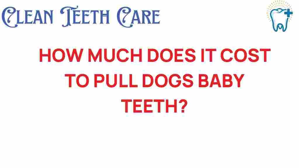 dog-dental-care-costs