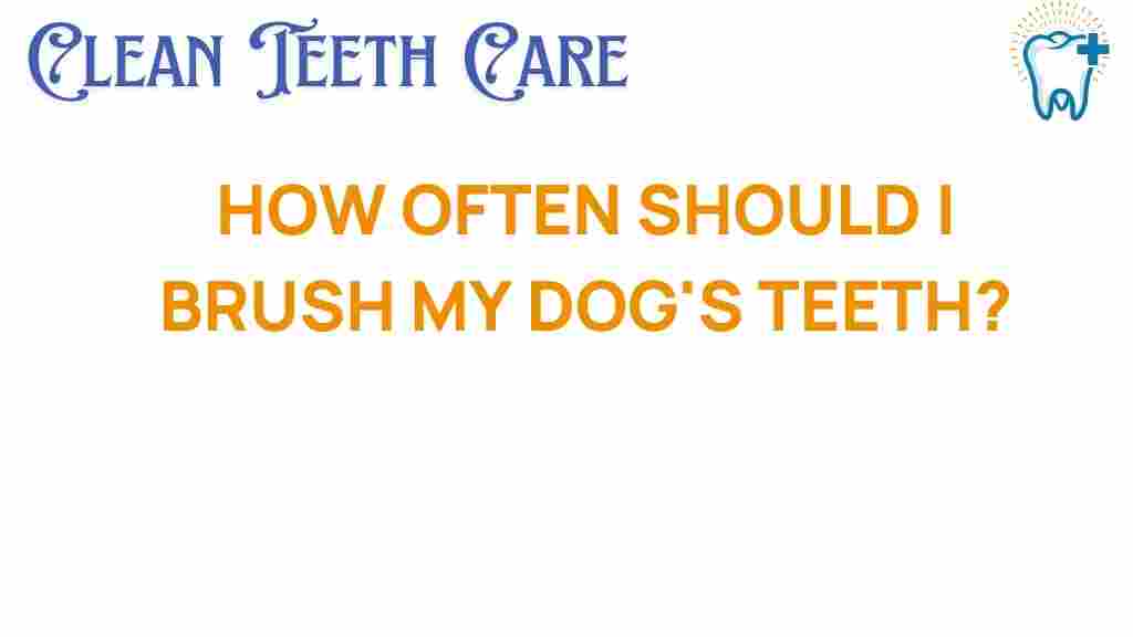 dog-dental-care-brushing-frequency