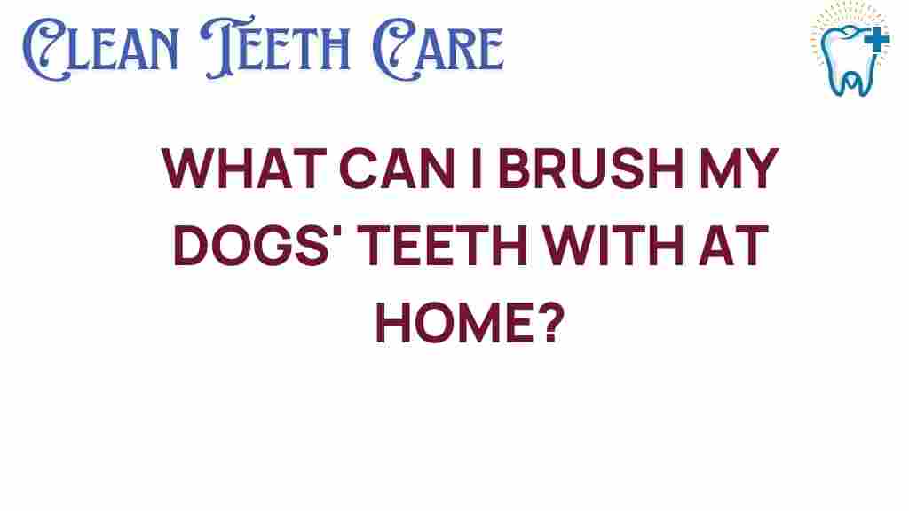 brushing-dog-teeth-home