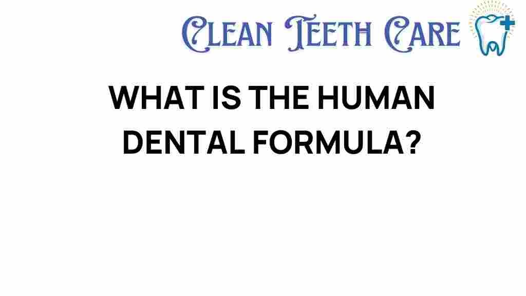 human-dental-formula