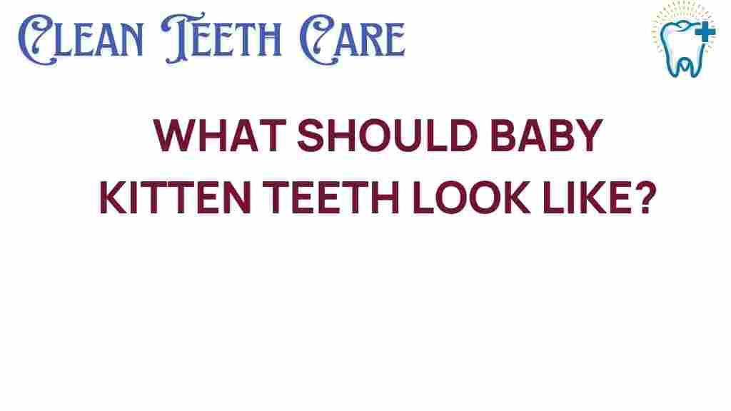 baby-kitten-teeth