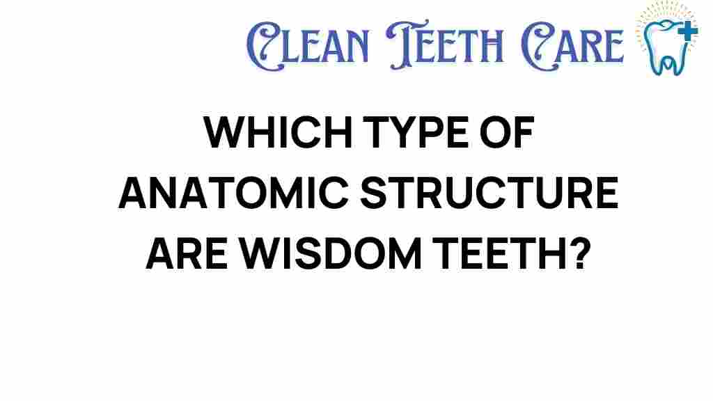 wisdom-teeth-anatomic-structure